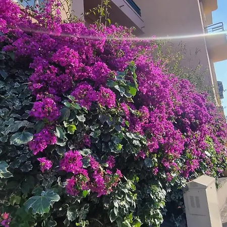Apartment Charmant 70 M2 Coeur De Nizza