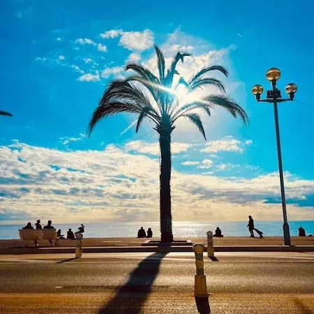 Charmant 70 M2 Coeur De Nice
